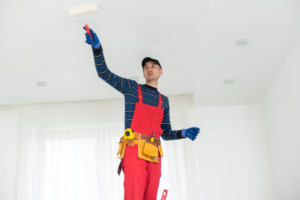  , USA Mold Removal Pros